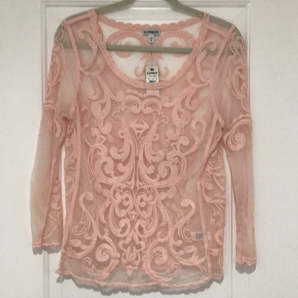 Sheer Embroidered top